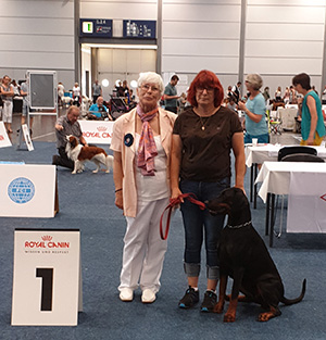 20190826_070035 20190826_070035