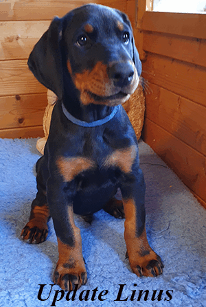 20210422_171922 linus