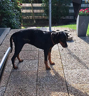 40fe8bcb-d35d-44e5-87f0-28cfe12e79a1