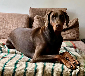 416557830_3524755521075380_8608774146879589273_n