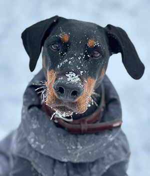 422016972_3579570252371142_1846831110666627168_n