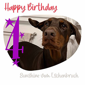 422413425_1324636164888570_2277458204376983340_n