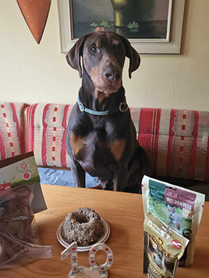 429032718_365054986500760_1237876330601996660_n