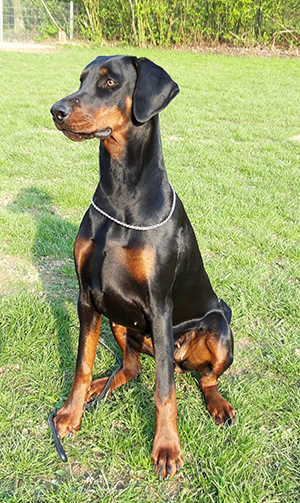 432232576_3147286272074499_3862397440216220869_n