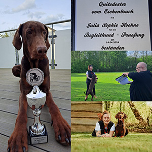 437857021_953149116485686_4019821896038547187_n