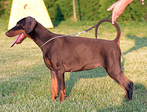 451712893_858530559071725_8232570700236523820_n klein