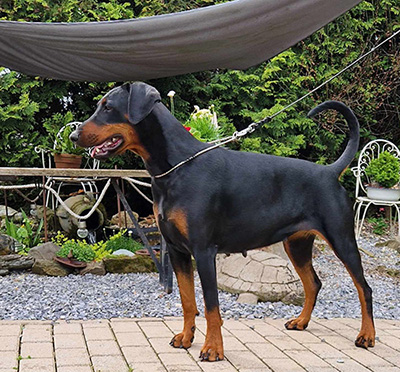 453749352_1231063984554008_7027946854183260092_n1