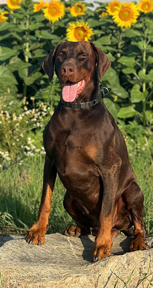 454732975_2902252209931236_5363782856775650844_n