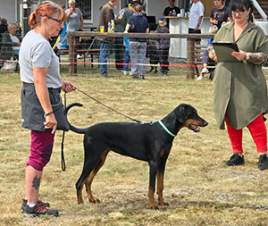 457194041_7993129564117758_3112719862528938911_n