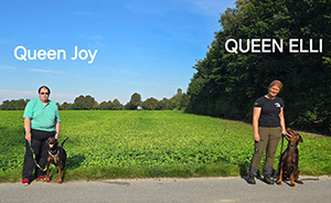 460629935_8186811114749601_808265775798699563_n