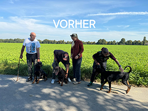 460844732_8186809634749749_4925056981672805345_n