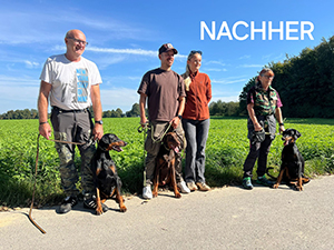 461080702_8186809931416386_5305363768931480508_n