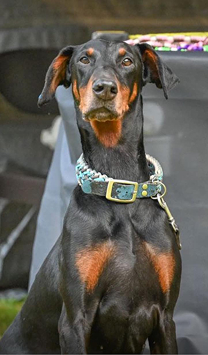 461255026_2338838869799005_7061606059601604710_n