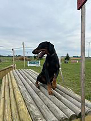 461496524_8252090748245546_4520347579245630237_n