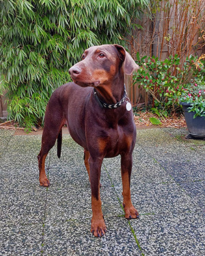 467180985_10231370972490328_9167473034806647202_n