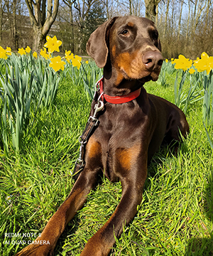 472201437_9363474320349439_1934302850850714492_n (1)1