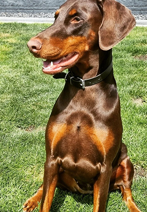 472315776_9184968631562349_3477420787355191197_n