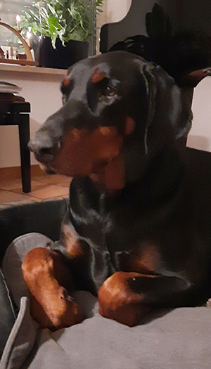 472597515_1778579309647136_942715877009694131_n