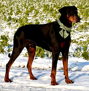 473071207_9139026739487554_3008036975002082566_n