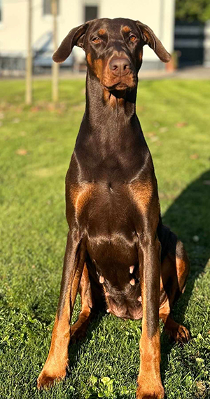 473585806_1283503146198412_409323283944886778_n