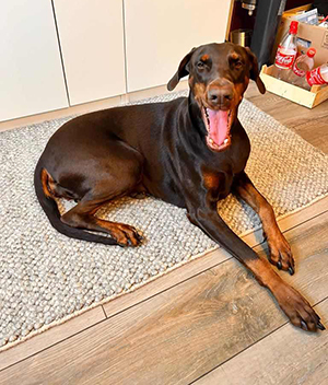 473708957_881403693933632_4648142508028270055_n