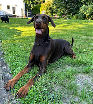 474245172_636006565664538_74669802649168144_n