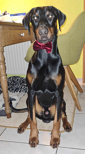 474990110_1165871058440289_8547718549766296542_n