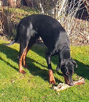 475080339_9889337704414751_7299039202448358488_n