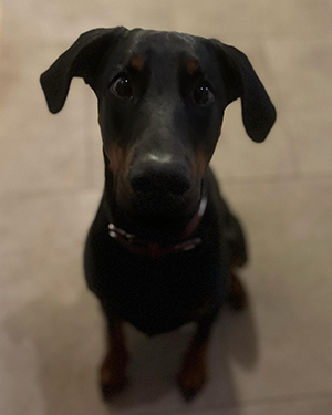 475546879_17886217446196212_7152691598694363373_n