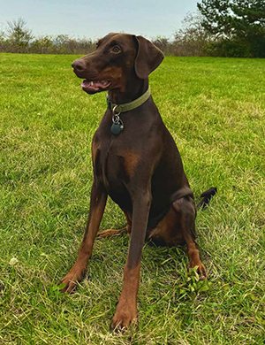 476070237_633216792401905_4121596889847782960_n