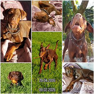 476202617_18384360988106734_170016754479388360_n