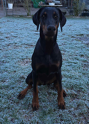 476305201_1398443517802760_2695829012183313605_n