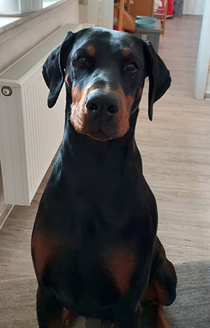 481235150_9383094355113058_7110724288913963019_n