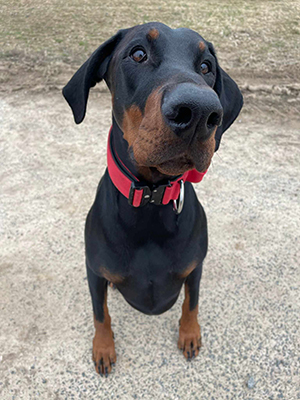 483226310_2319706051744781_8053527262076910348_n