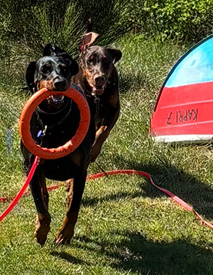 494639978_2214760112282919_3263690944586858774_n