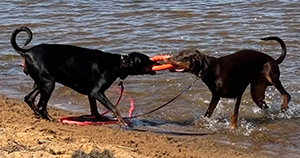 495364156_2214760118949585_3862966256748310201_n