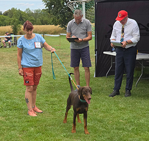 515958056_10044633975633963_5387094053939039279_n