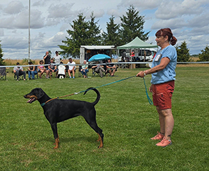 516752628_10044634678967226_5758183208604161315_n