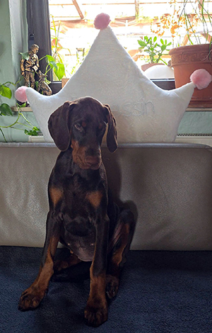 518398361_23912903008380492_6750724442629890759_n