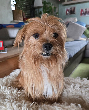 526362103_23999057883098337_5650799781550484728_n