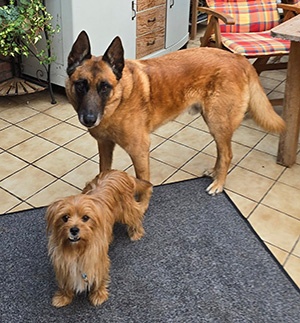 527314372_23999059586431500_4297725343458211820_n