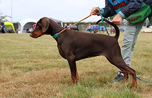 538554470_10227672350810070_8544046533737665422_n