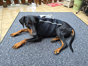 539223216_24196687480002042_1983087292711804752_n