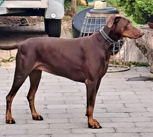 556120472_1832768500958947_6472020486822834710_n