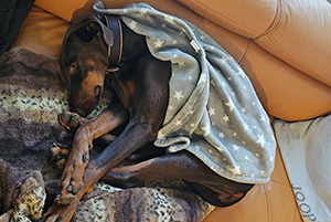 557115400_3370844593069104_6905786061243171664_n