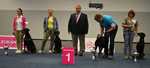 61608163_275327919926664_1651475067739045888_n 61608163_275327919926664_1651475067739045888_n