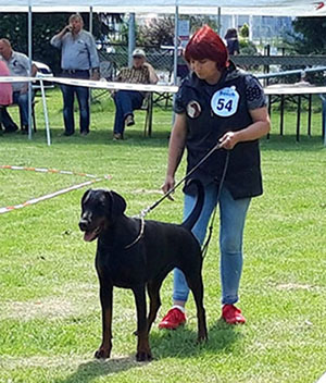 62510500_350351735680281_6723177393810309120_n1 62510500_350351735680281_6723177393810309120_n1