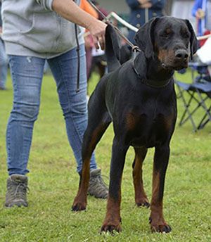 64809578_422417678612457_4781351743608848384_n1 64809578_422417678612457_4781351743608848384_n1