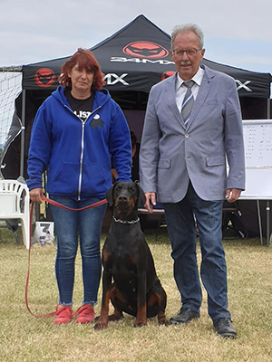 66120070_2289270677837037_6722129786862305280_n 66120070_2289270677837037_6722129786862305280_n