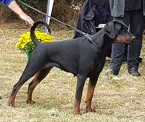 67113877_2631724553528362_94758596436295680_n 67113877_2631724553528362_94758596436295680_n